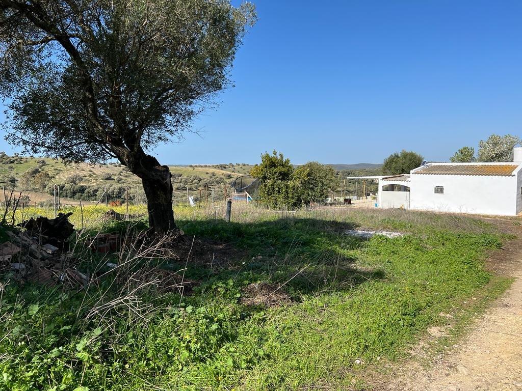 Casa de campo
