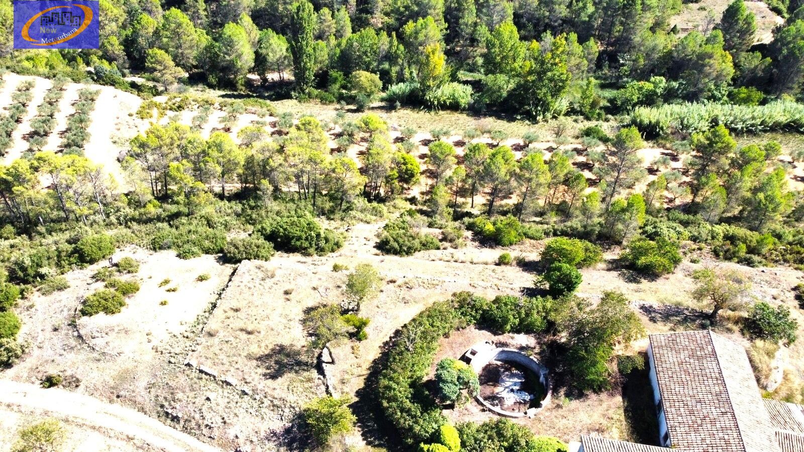 Quinta Agrícola