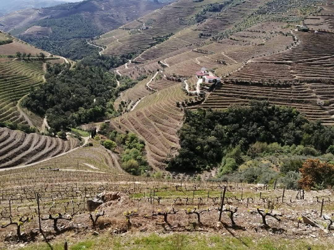 Cortijo